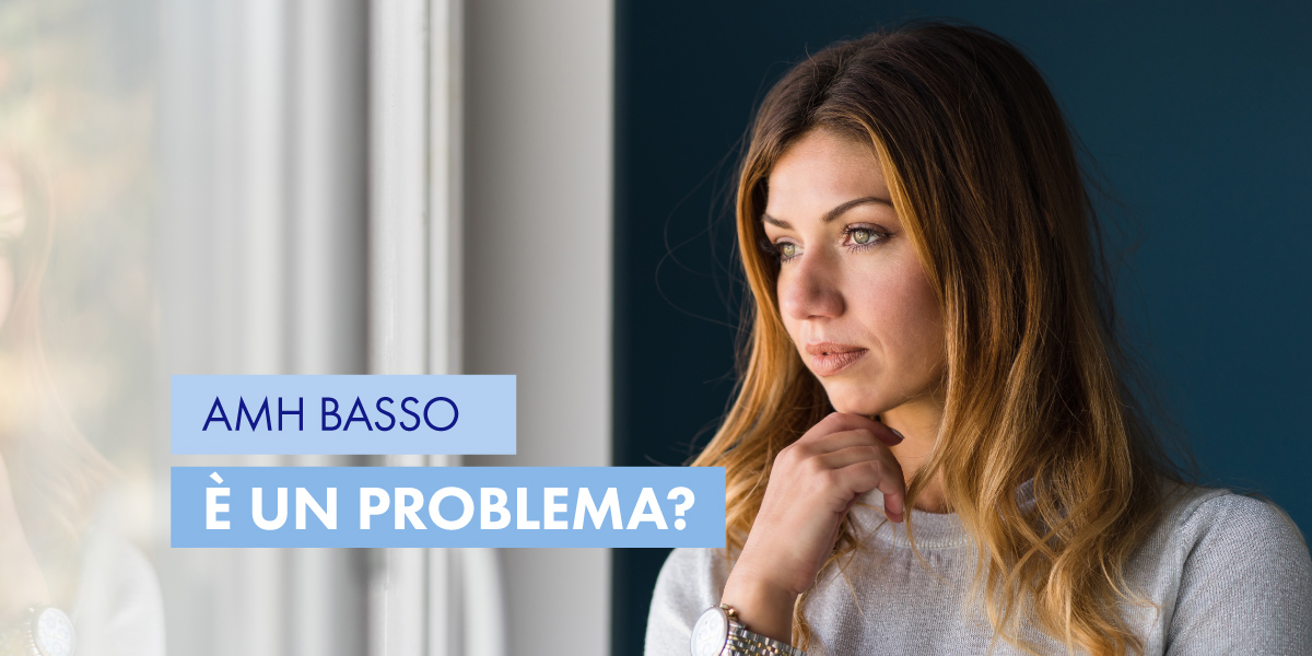 amh basso