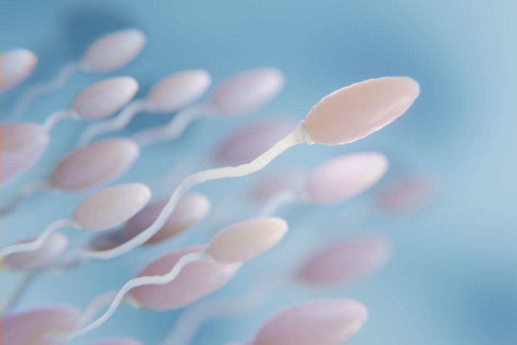 Fertilità maschile